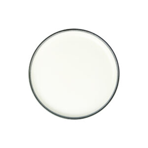 Ambridge Series - Dinner Plate Dark Grey