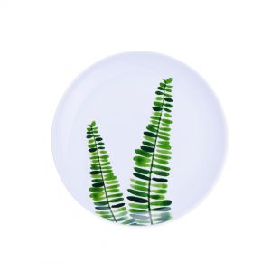 Plant Series ? Salad Plate Ferns