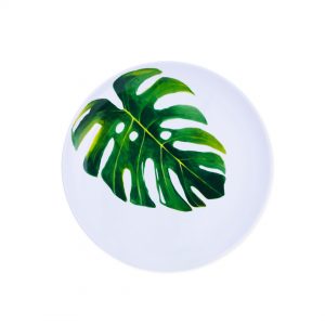 Plant Series ? Salad Plate Monstera