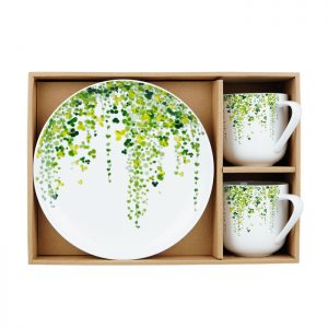 Plant Series - Gift Set Box String Plants