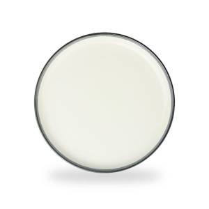 ZEN Piring Salad Stoneware Grey Diameter 20 cm